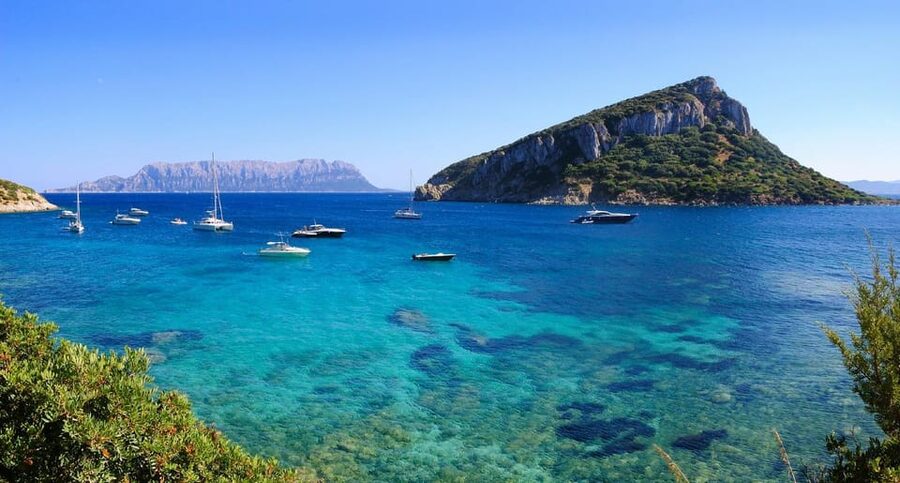 Olbia: Dolphin Watching and Snorkeling Boat Tour - The 3.5 hour plan, built around sailing, stops, and real water time