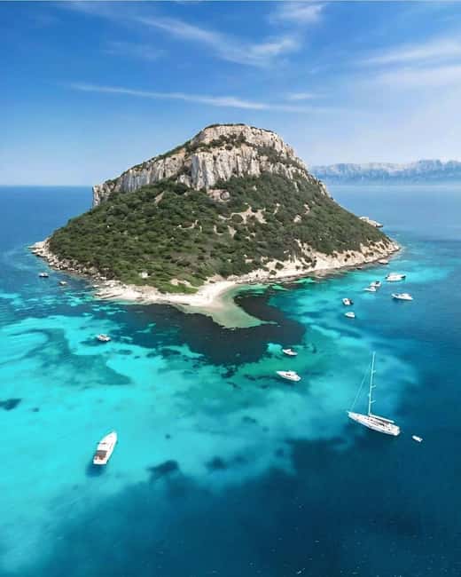 Olbia: Dolphin Watching & Snorkeling Boat Tour near Figarolo - What’s included, what to bring, and what to skip