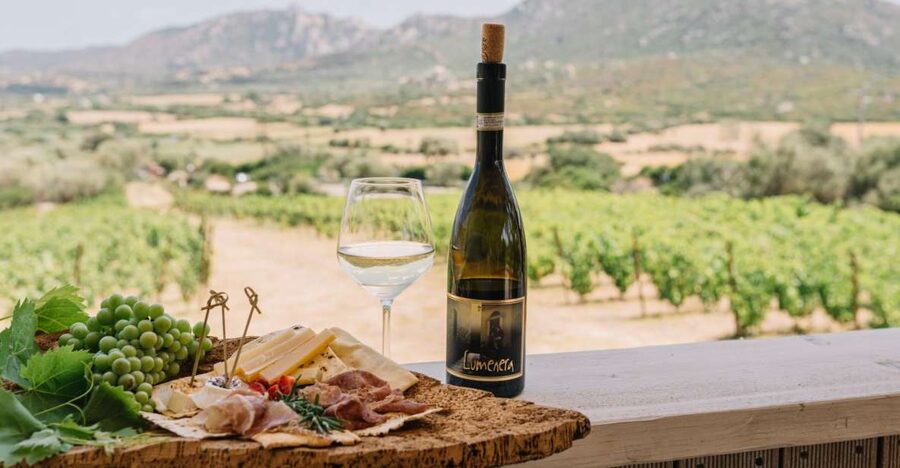 Olbia: Gallura Winery Guided Tour with Tasting - Finding the winery near Olbia (SP73, stone posts, dirt road)