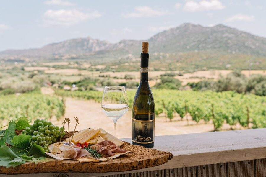 Olbia: Gallura Winery Guided Tour with Tasting - Inside the cellar and barrel rooms: fermentation in real rooms