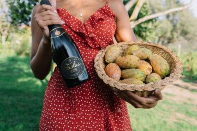 Gallura Winery Guided Tour with Tasting