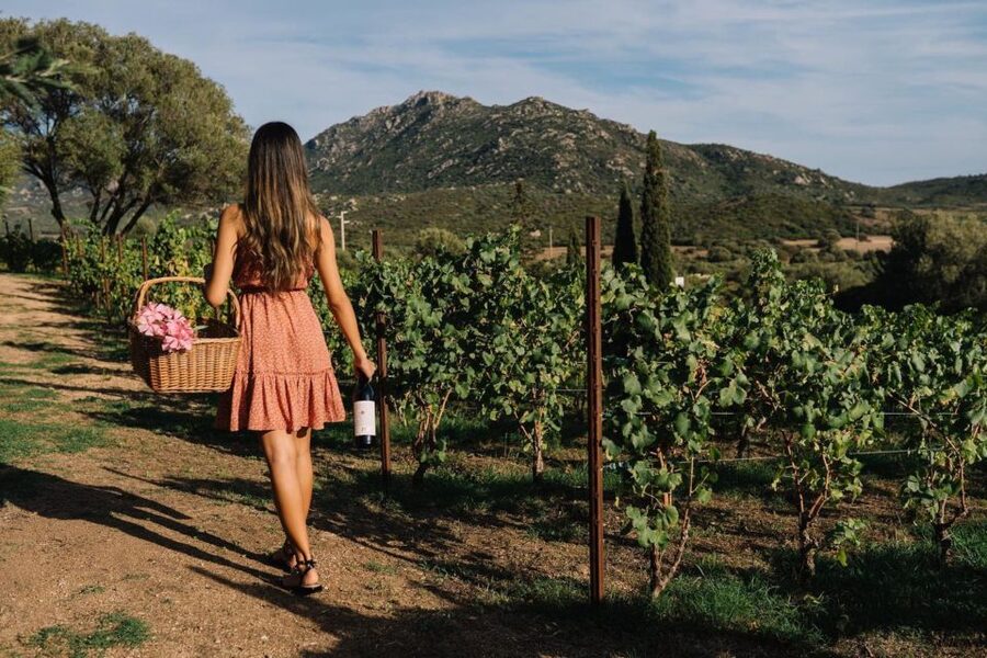 Olbia: Gallura Winery Guided Tour with Tasting - The rescue farm stop: animals are part of the experience here