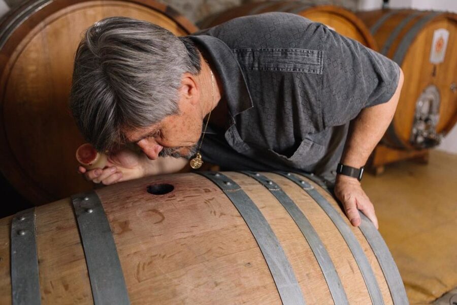 Olbia: Gallura Winery Guided Tour with Tasting - The tasting of 3 wines with Sardinian snacks