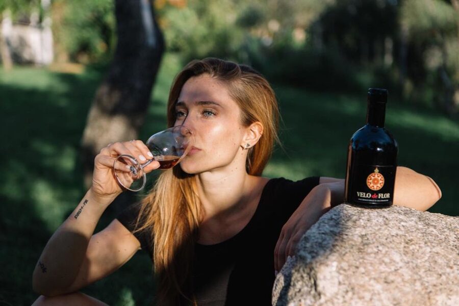 Olbia: Gallura Winery Guided Tour with Tasting - Which wines you might taste, and what to look for