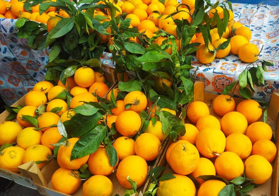 Palermo: Street Food Walking Tour with Local Guide & Tasting - From Teatro Massimo to Quattro Canti, the Route That Connects Sights to Snacks