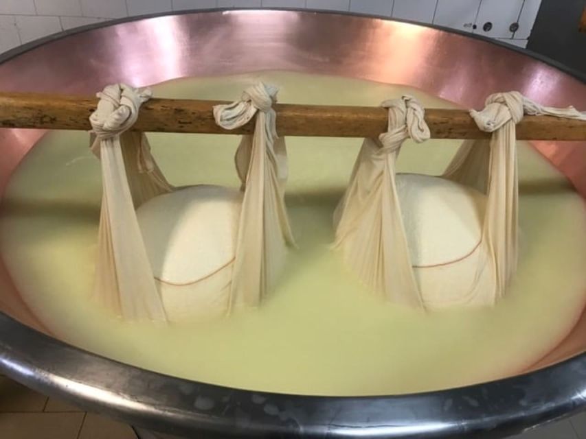 Parma: Parmigiano Production and Parma Ham Tour & Tasting - Prosciutto di Parma in the Province: Cold Stage, Resting Cells, and Seasoning Chambers