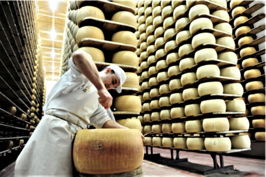 Parma: Parmigiano Production and Parma Ham Tour & Tasting - How Long It Really Takes, and What the Van Schedule Means for Your Day