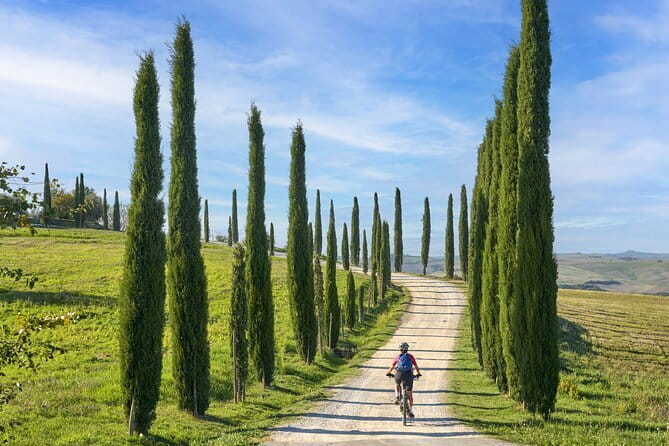Pisa, Siena and San Gimignano Day Trip with Lunch & Wine Pairing - Lunch at a Tuscan winery near San Gimignano: why the wine pairing matters