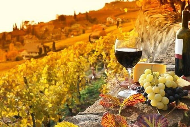 Pisa, Siena and San Gimignano Day Trip with Lunch & Wine Pairing - San Gimignano’s towers: how to get the most from your hour of free time