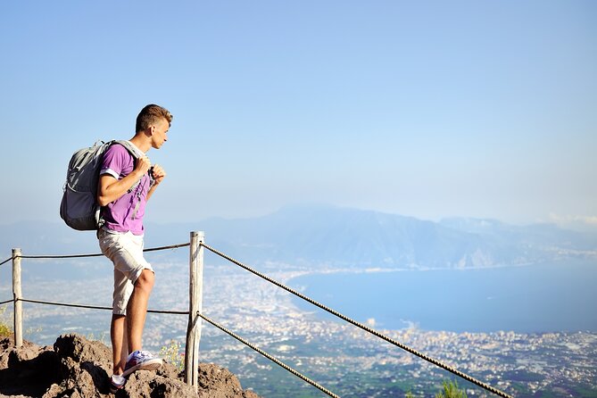 Pompeii and Mount Vesuvius Day Trip from Rome with Pizza Lunch - Lunch in Ercolano: pizza, 3 courses, and a Bay of Naples view
