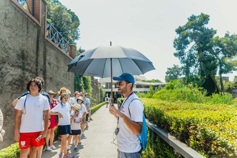 Pompeii: Archaeological Park Tour with Ticket on request - The 2-hour walk: what you will see and why it matters