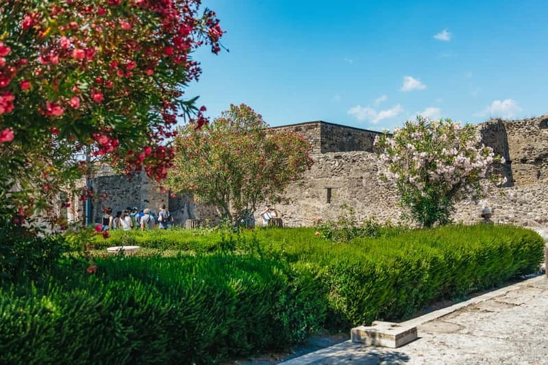 Pompeii: Archaeological Park Tour with Ticket on request - Entering Pompeii with an EXPRESS ticket, and what that changes