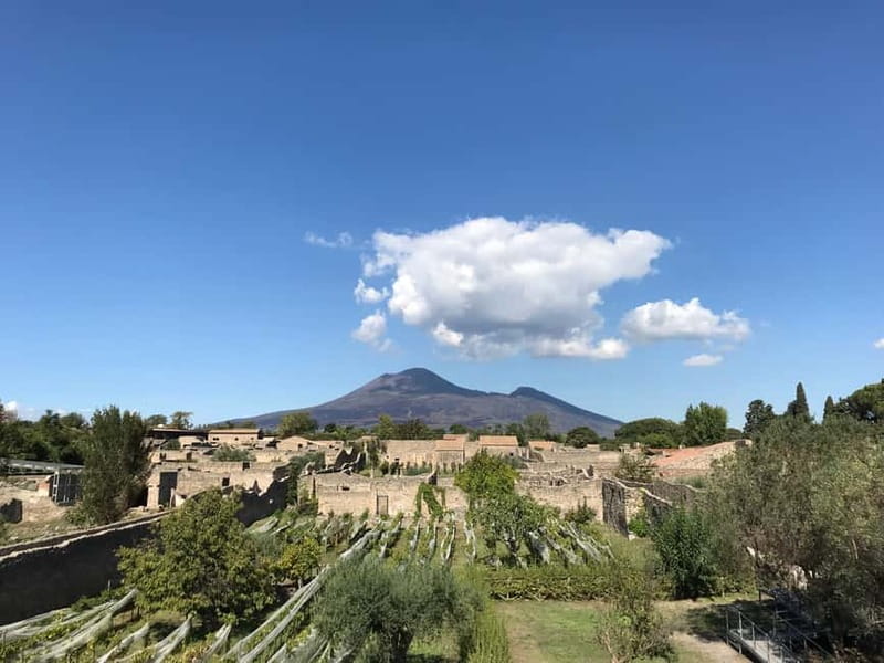 Pompeii: Exclusive Tour with Archaeologist and Entry Tickets - Meeting at Porta Marina, Then Moving Like You Know the Place