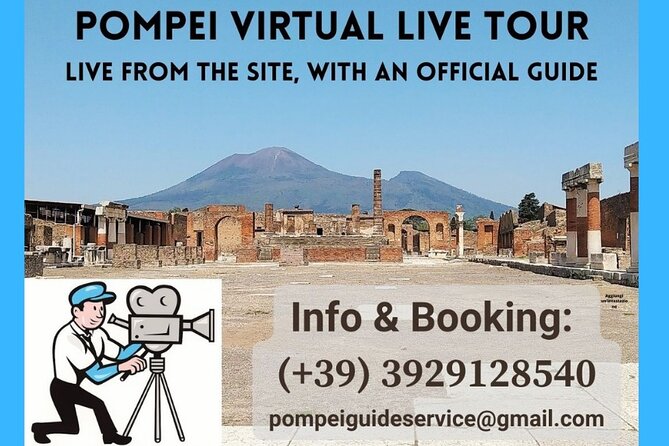 Pompeii private tour with an Official Guide - Price and Value: $107.63 per Group, Up to 14 People