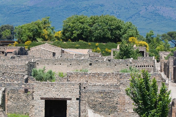 Pompeii Ruins Half-Day Tour from Sorrento with Guide - Timing in real life: when queues and crowds change the day