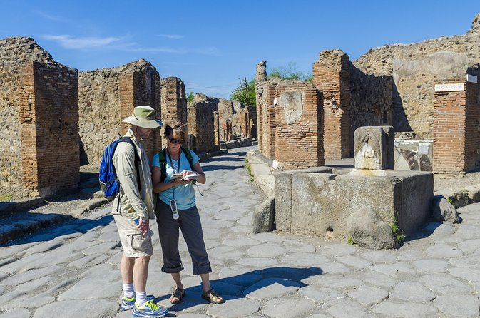 Pompeii Small Group Tour with an Archaeologist - Walking the main street: mosaics, frescoes, and road-level clues