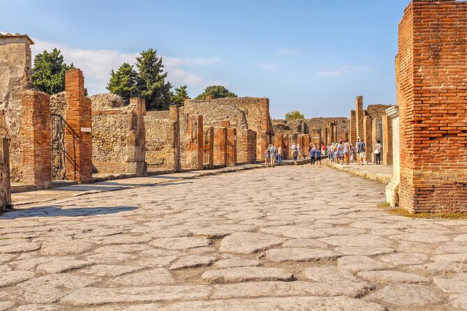 Pompeii Ticket + Tour with Optional Tasting Experience at Pompeii - The 2-hour Pompeii route, what you’ll see and what to watch for