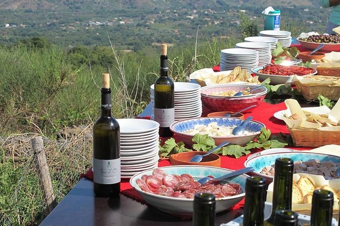 Private 6-Hour Tour of Three Etna Wineries with food&wine tasting - Stop 3: three more wines, plus cheeses, olive oil, and meat