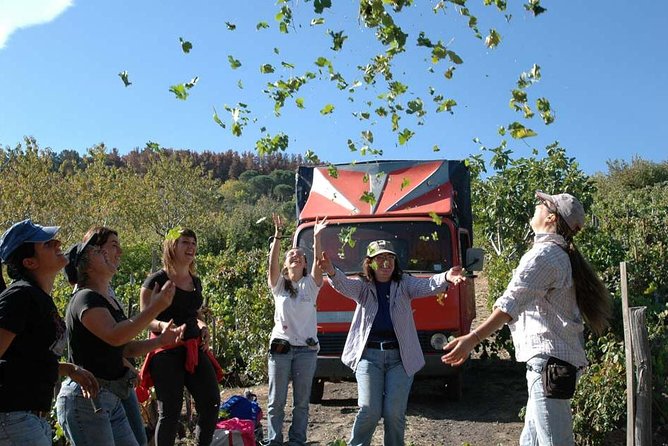 Private 6-Hour Tour of Three Etna Wineries with food&wine tasting - The wine lineup: what you learn about Etna DOC without turning it into homework