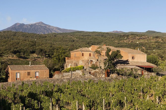 Private 6-Hour Tour of Three Etna Wineries with food&wine tasting - What guides and drivers add to the value, and why names matter
