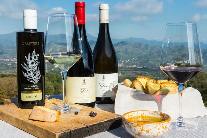 Private 6-Hour Tour of Three Etna Wineries with food&wine tasting - Driving from Taormina up to Etna, the scenery lesson you get for free