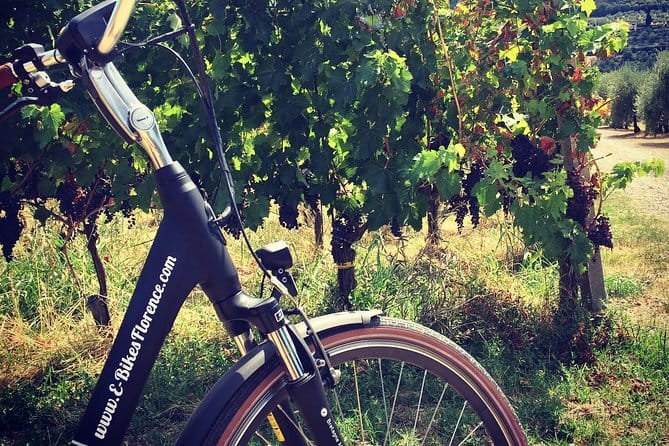 Private Self-Guided E-Bike Ride in Tuscany with Vineyard Visit - Key highlights worth marking on your map
