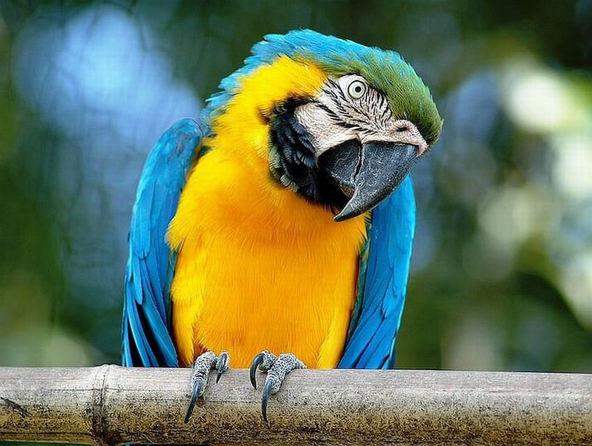 Rome: Bioparco di Roma Zoological Garden Entry Ticket - Why Bioparco di Roma works when you want a break from the city
