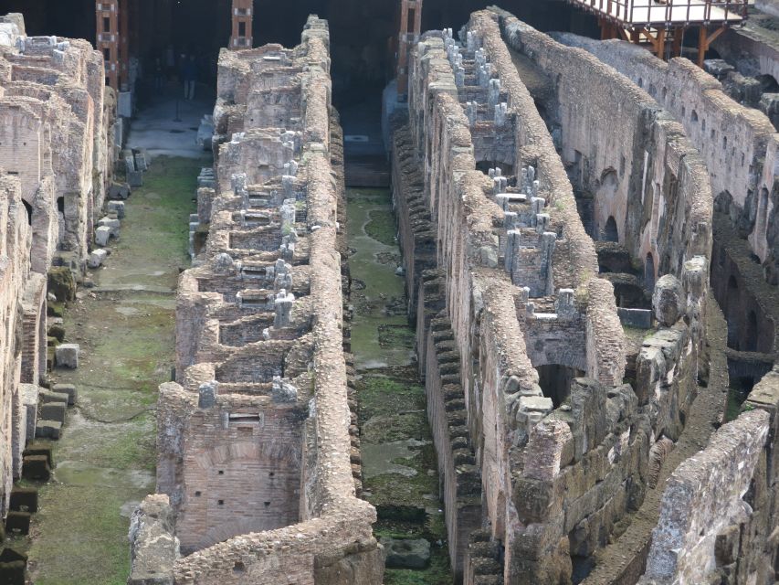 Rome: Colosseum Arena Floor, Roman Forum & Palatine Tour - Colosseum tiers 1 and 2, and where to look first