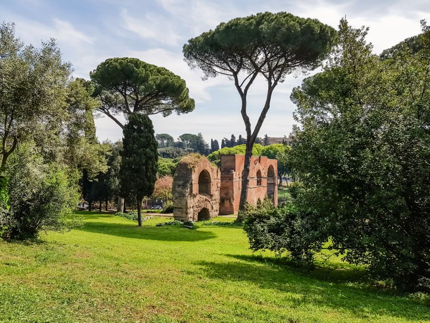 Rome: Colosseum Arena, Palatine Hill & Forum Guided Tour - Key Highlights You Can Count On
