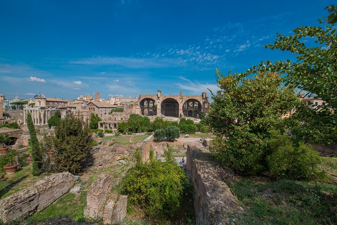 Rome: Colosseum Arena, Roman Forum & Palatine Hill Tour - Price and Value: Is $71.20 a Good Deal?