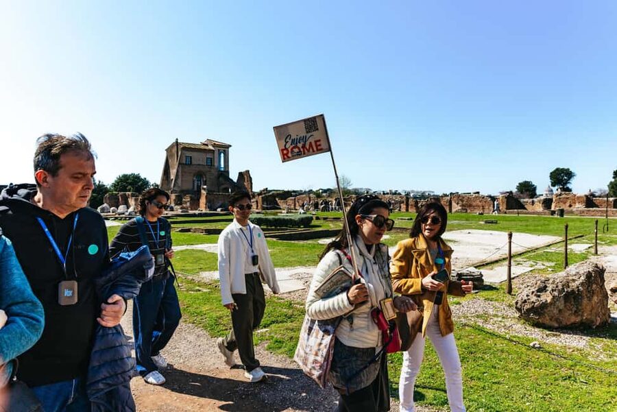 Rome: Colosseum, Forum & Palatine Hill Tour & Optional Arena - Pacing, Group Flow, and Photo Time Without Stress