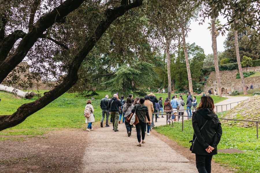 Rome: Colosseum, Palatine Hill & Roman Forum Guided Tour - Key takeaways