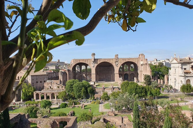 Rome: Colosseum, Roman Forum & Palatine Hill Experience - Group size, language options, and how to handle crowd chaos