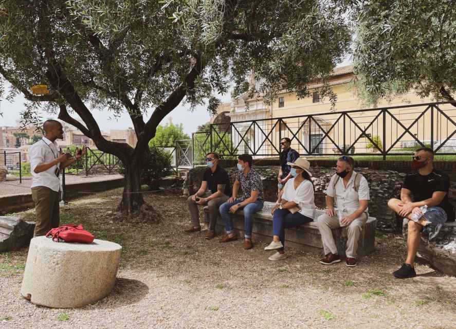 Rome: Colosseum, Roman Forum & Palatine Hill Guided Tour - Palatine Hill: Rome’s “home base” and the views you’ll remember