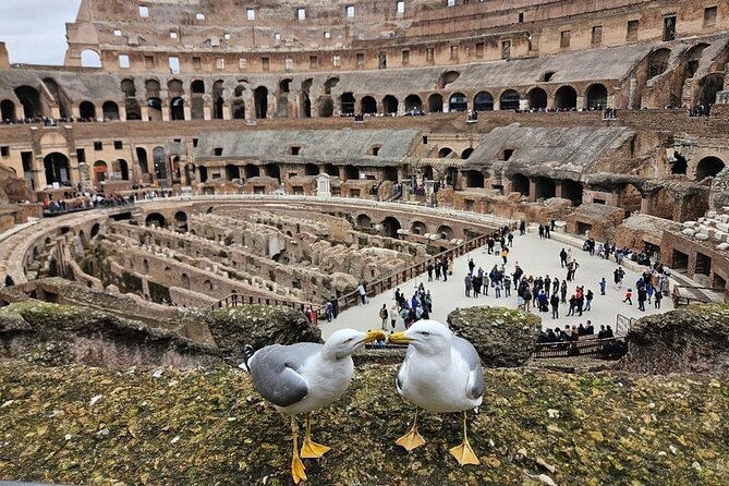 Rome: Colosseum, Roman Forum & Palatine Hill Visit + Audio Guide - Price and Value: Why $21.69 Can Be a Good Deal