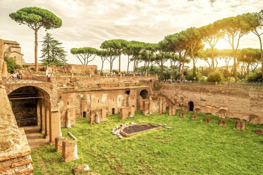 Rome: Colosseum Underground, Arena & Forum Tour - What the Spanish Live Guide Adds (and What to Do If You’re Not Fluent)