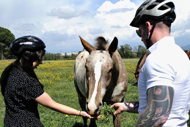 Rome EBike Tour: Appian Way, Catacombs & Roman Aqueducts - Aqueducts and countryside: the best “Rome outside Rome” feeling