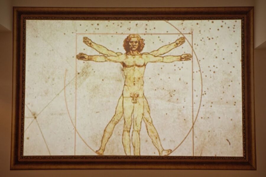 Rome: Leonardo Da Vinci Experience Entry Ticket - Leonardo’s Room of Mirrors: light, images, and the photography link
