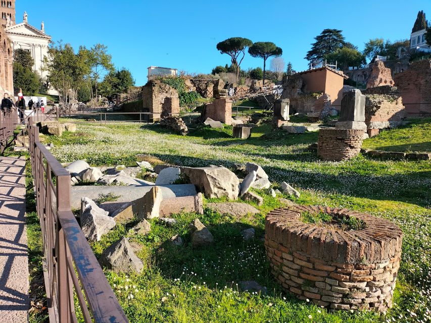 Rome: Roman Forum and Palatine Hill Licensed Guided Tour - Palatine Hill: where the views explain the power