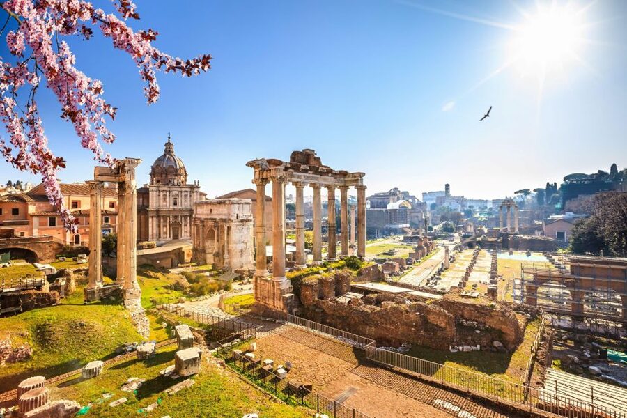 Rome: Roman Forum and Palatine Hill Licensed Guided Tour - Where to stand, what to bring, and how to avoid entry headaches