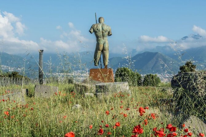 Rome to Pompeii Guided Tour with Wine & Lunch by High Speed Train - FAQ