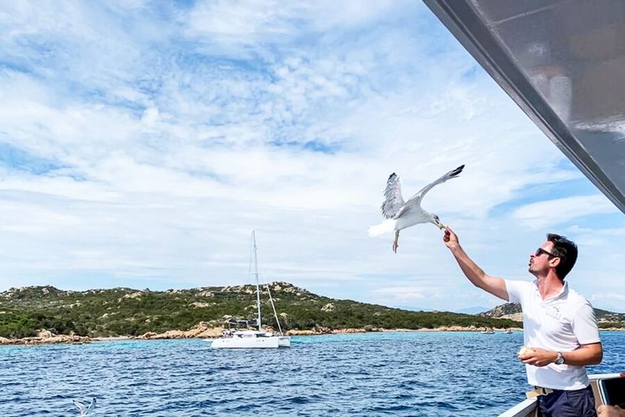 Sardinia: La Maddalena Archipelago Full-Day Trip by Boat - Cruising Near Punta Sardegna and Porto Rafael Before Heading Back