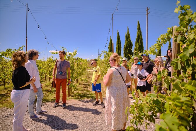 Siena, San Gimignano and Chianti Wines Day Tour from Florence - How the morning sets you up for Tuscany views