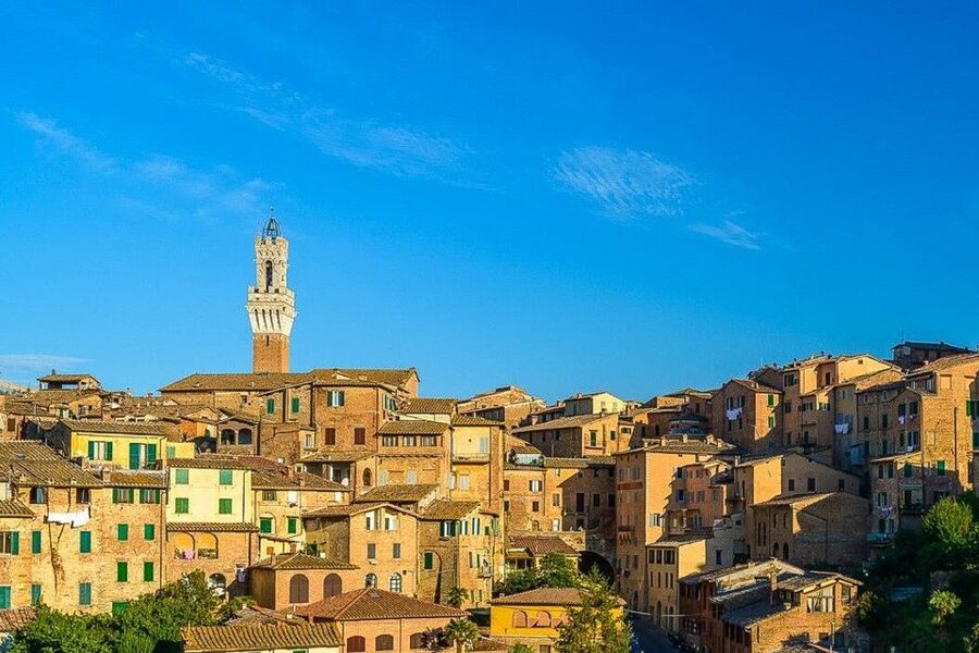 Siena: Walking Tour and Skip-the-Line Duomo Tickets - Medieval streets and Gothic faces: what you’ll notice as you walk