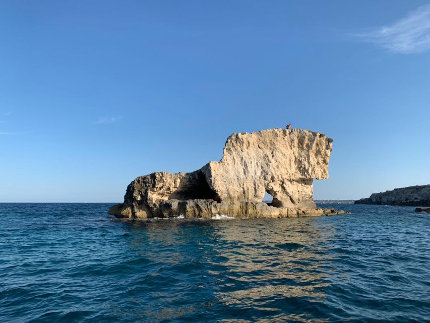 Siracusa: Ortigia Boat Tour with Marine Grotto - Guide style matters: what to look for on board