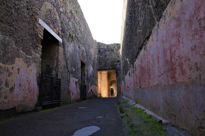 Skip the Line Guided Tour of Pompeii led by an Archaeologist - Via dell’Abbondanza, the main street you can actually read