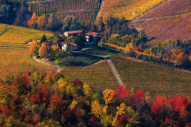 Small-Group Barolo Wine Tasting, Alba & UNESCO Piedmont Hills - Family-Run Winery in Barolo: Why the Rules Matter for Nebbiolo