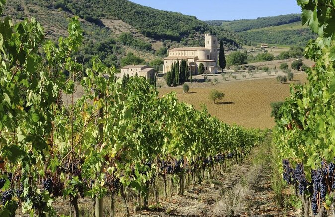 Small-Group Brunello di Montalcino Wine-Tasting Trip from Siena - Siena to Montalcino by minivan, without the headache