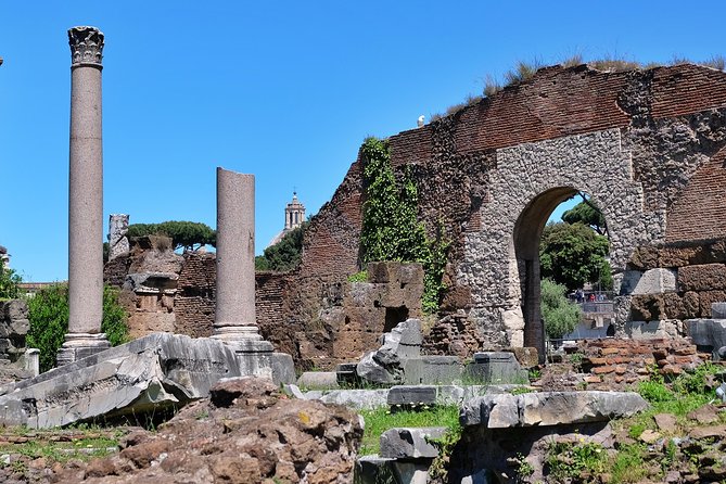 Small Group Colosseum, Roman Forum & Palatine Hill Tour - Stop 1: The Colosseum arena, gladiator stories, and what to spot