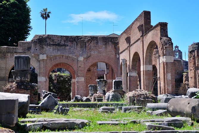 Small Group Colosseum, Roman Forum & Palatine Hill Tour - Heat, walking, and how long you should plan to be out